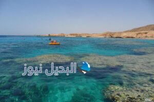 فيديو من داخل جزيرة تيران
