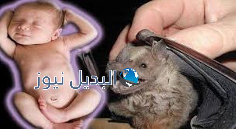 وطوطة البنات