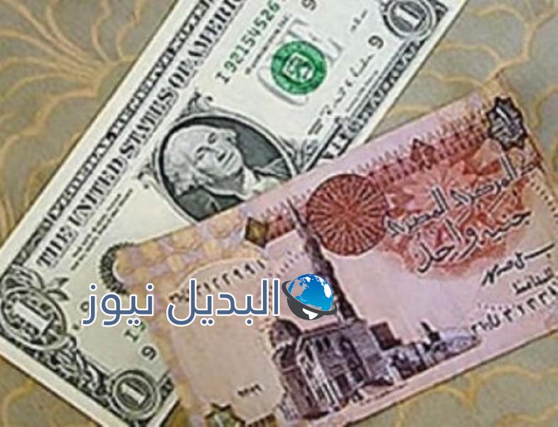 سعر الدولار اليوم