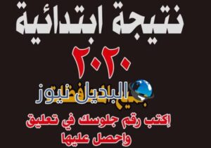 نتيجة الشهادة الابتدائية 2020