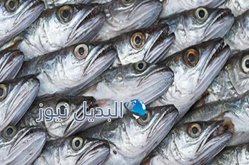 تناول رأس السمك