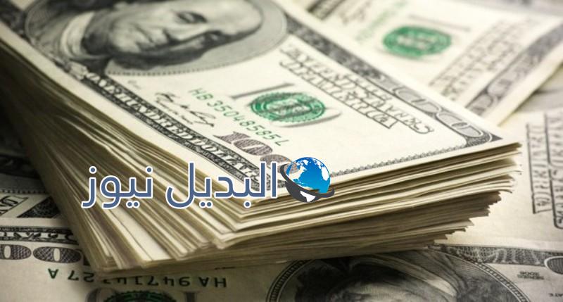 حالة من الإستقرار يشهدها سعر الدولار