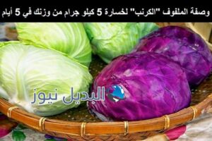 ريجيم الملفوف والتخلص من 5 كيلو من الوزن خلال أسبوع