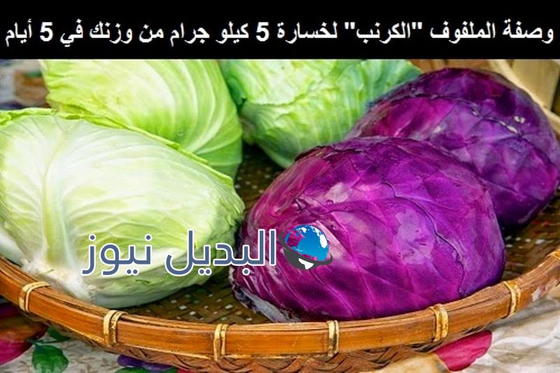 ريجيم الملفوف والتخلص من 5 كيلو من الوزن خلال أسبوع