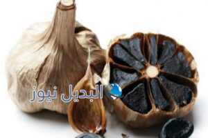 ما هو الثوم الأسود