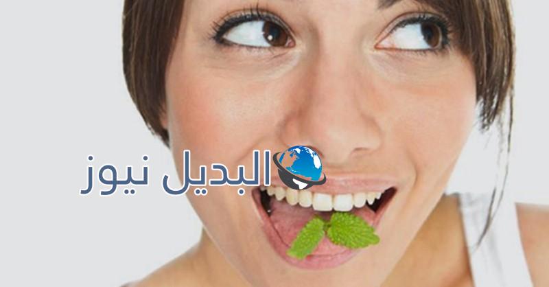 الإحتفاظ بنفس منعش طوال النهار