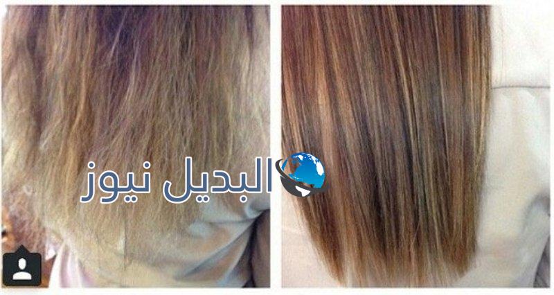 التخلص من أطراف الشعر المتقصفة