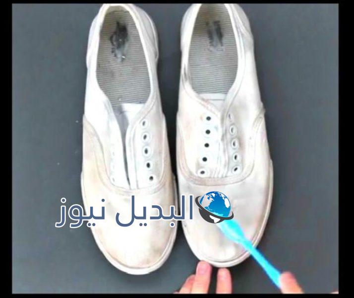 مكونات من أجل تنظيف الحذاء