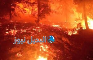 إسرائيل تحترق