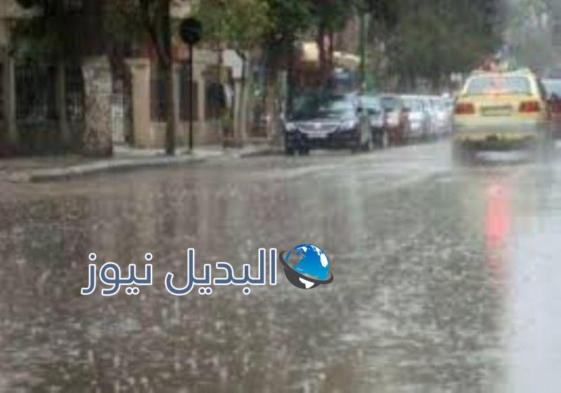 تفاصيل منخفض فلسطين
