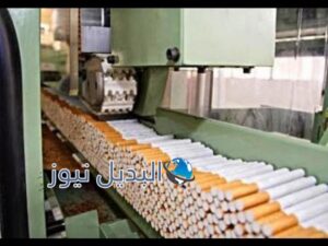 عمال مصنع للسجائر بالولايات المتحدة الأمريكية
