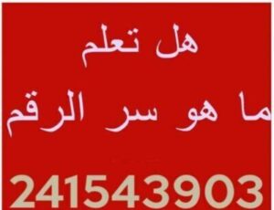 ما هو سر الرقم 241543903 (5)
