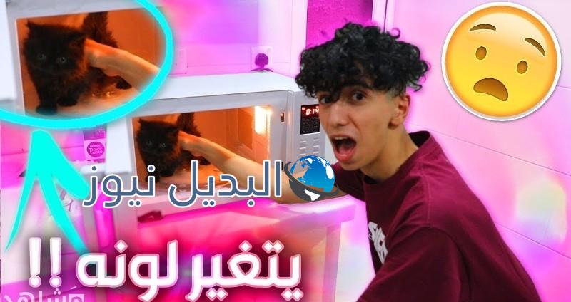دايلر يعذب قطة