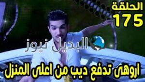 ملخص حب خادع 175