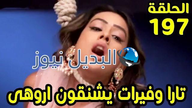 حب خادع ملخص الحلقة 197