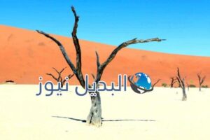 ديد فالي – ناميبيا