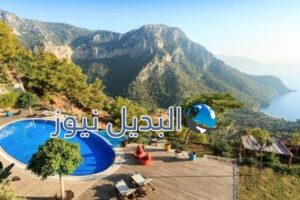 فاراليا التركية