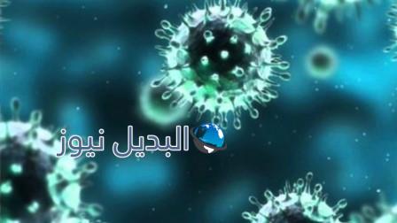 إنتصار التنين على الكورونا