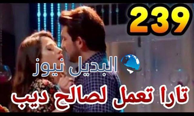 حب خادع ملخص الحلقة 239
