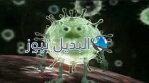 فيروس هانتا رعب جديد يجتاح الصين