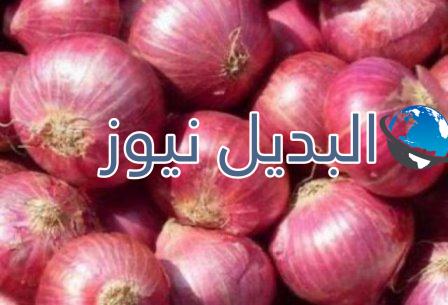 الكويت بدون بصل