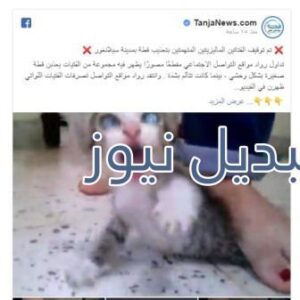القبض على فتيات تعذيب القطة