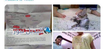 تعذيب قطة بطريقة وحشية من فتاتين