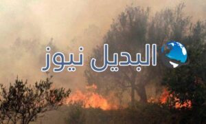 سوريا تحترق