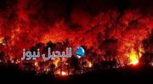 سوريا تحترق