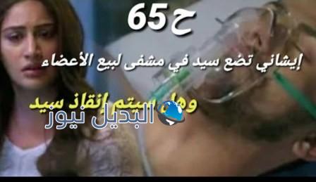 مسلسل داوني الحلقة 65