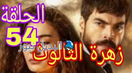مسلسل زهرة الثالوث الحلقة 54