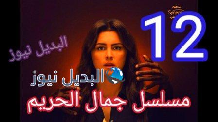 جمال الحريم 12