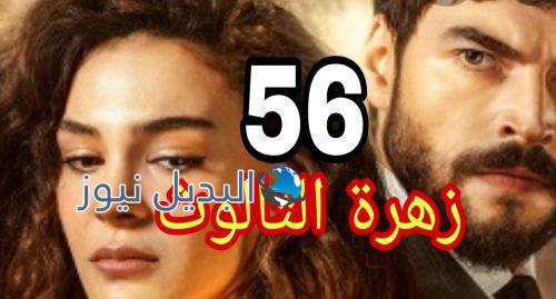 مسلسل زهرة الثالوث الحلقة 56