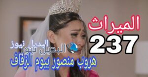 مسلسل الميراث الحلقة 237