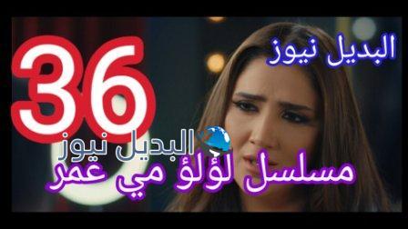 لؤلؤ 36 السادسة والثلاثون كاملة بالفيديو