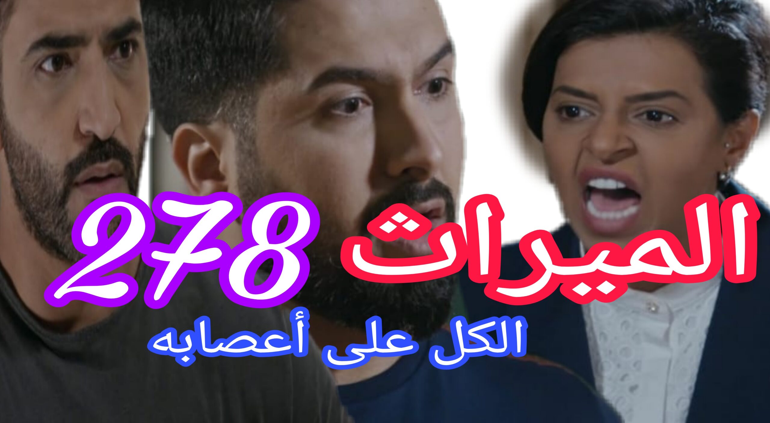 الميراث 278 السعودي
