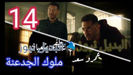مسلسل ملوك الجدعنة الحلقة 14