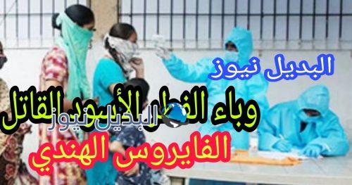 الفطر الأسود وباء فتاك جديد
