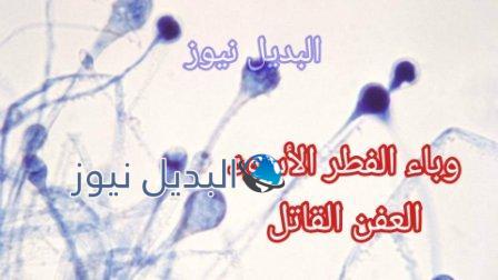 وباء الفطر الأسود في الهند العفن القاتل