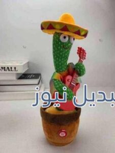 الصبارة الراقصة