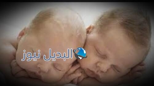 متى يظهر الحمل بتوأم