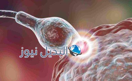 كيف اعرف ان البويضة تلقحت وصار حمل من أول يوم