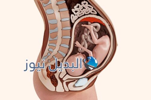 علامات قرب الولادة للبكرية