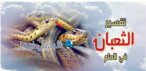 تفسير حلم الثعابين