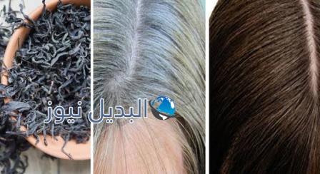 التخلص من الشعر الأبيض بوصفة القرنفل