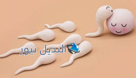 فوائد ماء الرجل للبشره والشعر