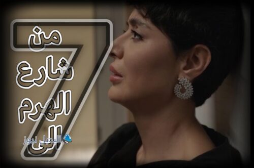 من شارع الهرم الى ح 7