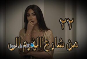 من شارع الهرم الى ح 22