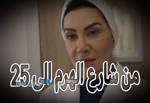 مسلسل من شارع الهرم الى حلقة 25