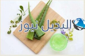 8 إستخدامات للصبار